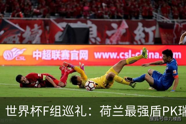 世界杯F组巡礼：荷兰最强盾PK瑞典犀利刀 日本短板明显